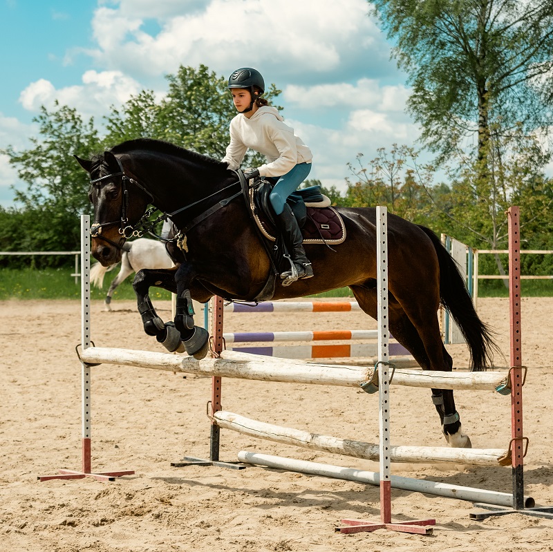 How to Overcome Fear and Nervousness in Horse Jumping How to Overcome Fear and Nervousness in Horse Jumping